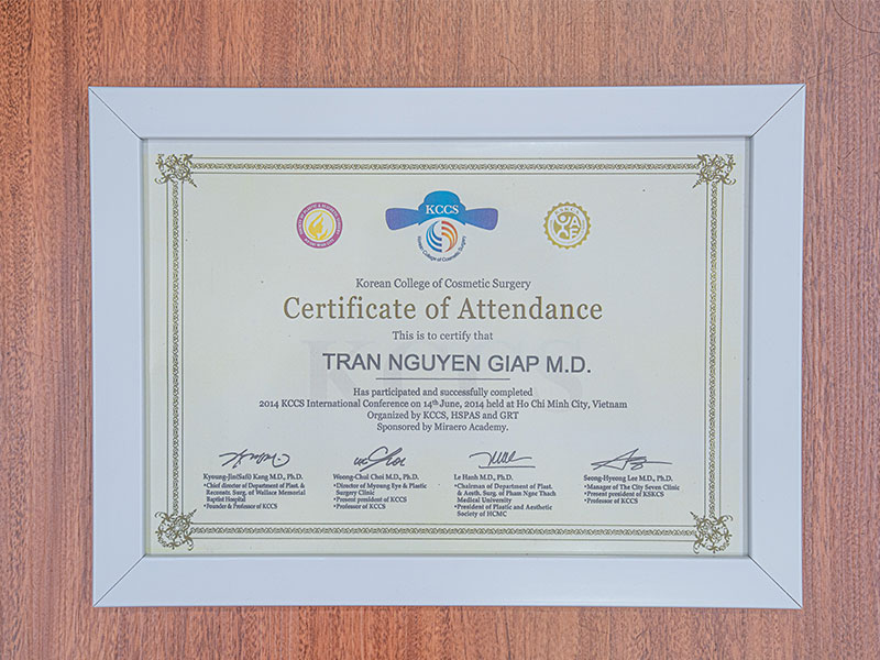 bang-cap-bac-si-tran-nguyen-giap